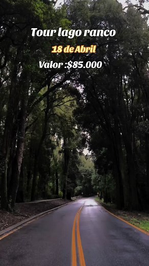 Tour de Santiago a Lago Ranco: Experiencia Mágica