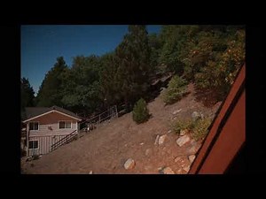 Sound of a Grey Fox at night