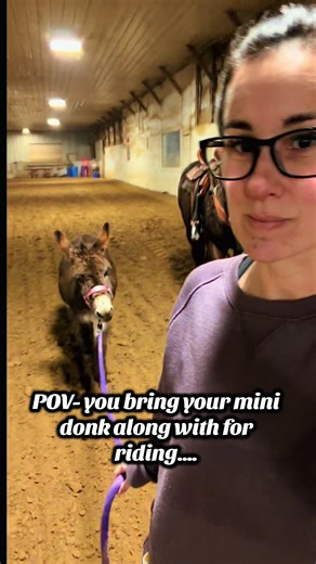 Mini Donkey Riding Adventure: A Fun Experience