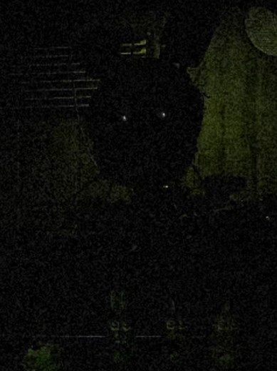 Exploring the Horror of FNAF 3: Springtrap Unveiled