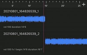 Washing Machine Heart - Mitski Audio Edit