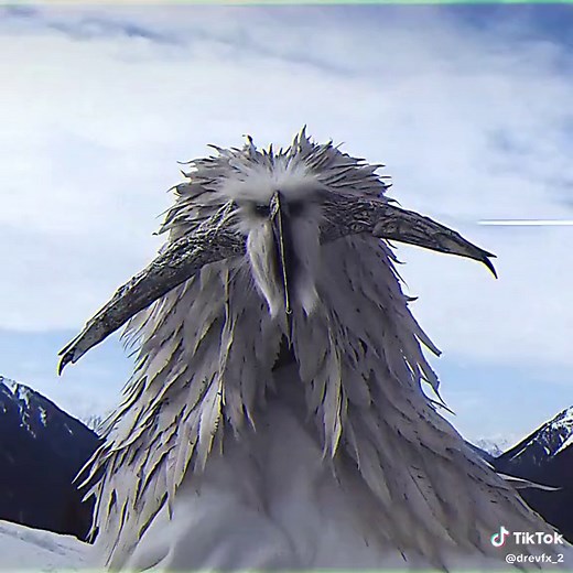 Strange Birds in Snowy Mountains: A Fascinating Sight to Behold