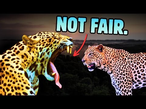 Why Jaguar VS Leopard Isn’t Even Close