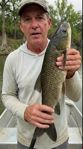 Catch Black Carp in Texas for Cash Rewards