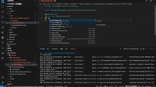 Spring Security应用实例：2创建项目