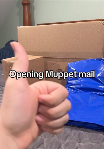 Muppet Merchandise Unboxing and Review