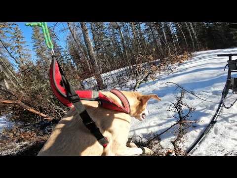 End of Season Kicksled Fun - Wabamun Lake