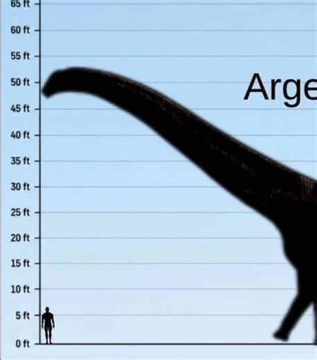 Prehistoric animals | Height Comparison - Part 3 . HARDSEQUENCE . Movie Creatures added also!! . . #fyppppppppppppppppppppppp #godzilla #prehistoricplanet #dinosaur #heightcomparison