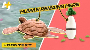 Want to become a tree after you die? Here’s how. | AJ