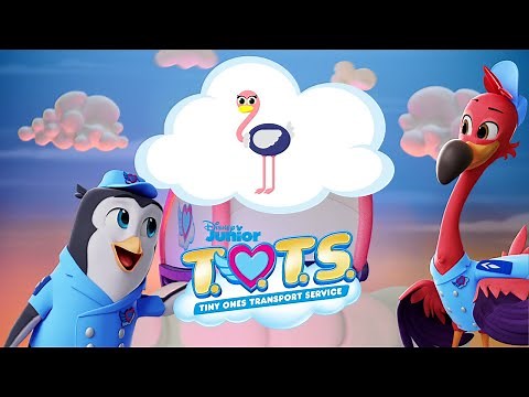 Chase the Cheetah 🐯 | T.O.T.S. Crate Surprise | Disney Junior