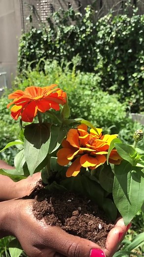 Ways to Support the Environment | Spring Up with Nick Helps