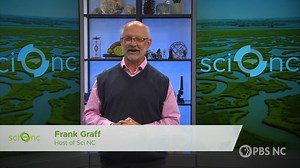2.2K views · 30 reactions | Learn about the quest for a resilient breed of sweet potatoes, how science helps farmers grow truffles and the importance of pollinators and flowers. Plus, visit a farm where both sheep and solar power are produced, and discover how solar power helps small farms survive. Catch Sci NC Thursdays at 8:30 PM on PBS NC and the PBS app. | PBS North Carolina | Facebook