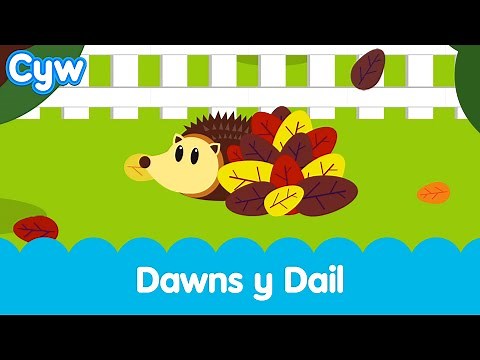 Cân Dawns y Dail | The Cyw Autumn Song | Welsh Kids nursery rhymes and songs