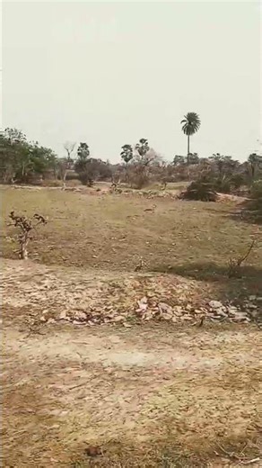 musafir hu yaaro