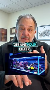 11K views · 141 reactions | Beginner Aquarist Fun Fact Did you know...