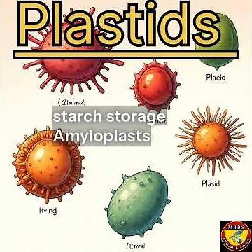 Plastids: Types, Functions, and Defects #biology