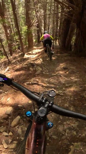 Does XX mean the easy way down? The Gorge, Nelson NZ #mtb #emtb