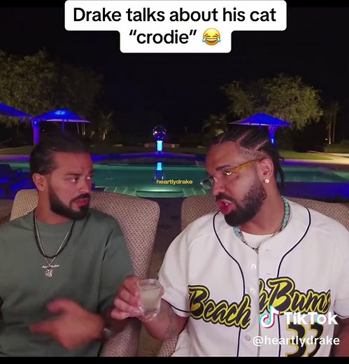 Drake's Cat Crodie: Meet the Toronto Icon 🐈