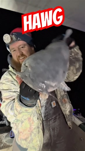 Big Catfish in Virginia waters. #fishing #monsterfish #winterfishing #viralshorts #madkatz