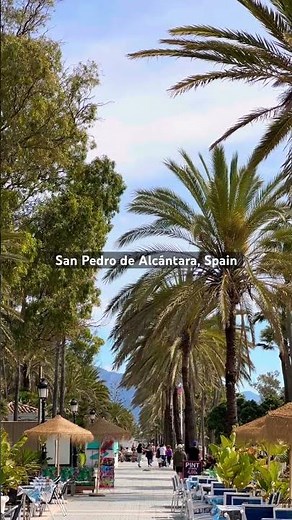 See the full walking tour of San Pedro on the channel 🇪🇸 #spain #travel #walkingtour #marbella