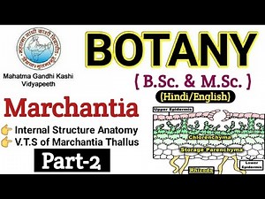 Marchantia / VTS of Marchantia Thallus/BSc 1st year Botany/Internal Structure of Marchantia Thallus