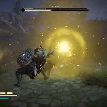 Assassin’s Creed Valhalla – Zealot Wealdmaer Fight
