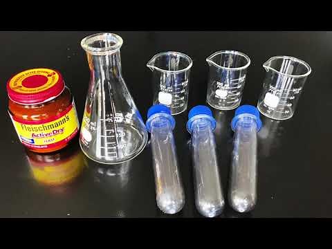 Fermentation in Yeast - A Modifiable Experiment