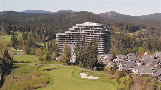 OneBear-ImagineLifeHere