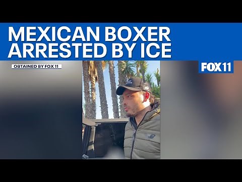 Boxer Julio Cesar Chavez Jr. arrested by DHS, feds claim cartel connection | FOX 11 LA