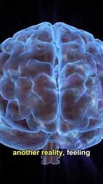 Quantum Immortality: Are You TRAPPED In An Endless Loop?