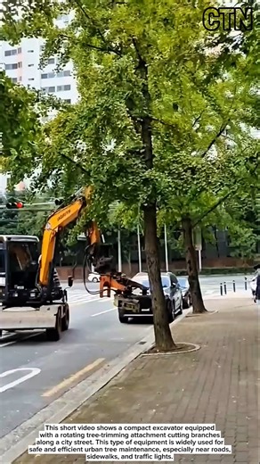 Urban Tree Trimming Machine in Action! Safe Street Maintenance – Educational Shorts