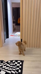 Wo ist meine Mama 🥰 | Tierschutz.news