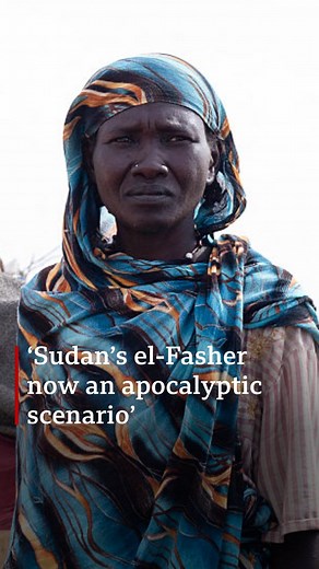 35K views · 780 reactions | El-Fasher is the latest Sudanese city to fall to RSF following an 18-month siege, giving them control of Darfur. United Nations’ High Commissioner for Human Rights, Volker Türk, spoke to the BBC about the situation on the ground and the international community’s response. | BBC News Africa | Facebook