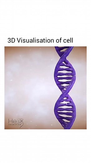 Any topic You want?? mention in comment 👇#animationstory #scienceworld #biology #scienefacts #learnontiktok #FilumsTok #fypシ゚viral🖤tiktok #lifefacts #fypシ゚viral🖤tiktok