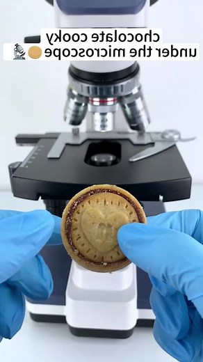 chocolate cooky is beautiful at 400x under a microscope!#microscope | Malaya2 | Facebook