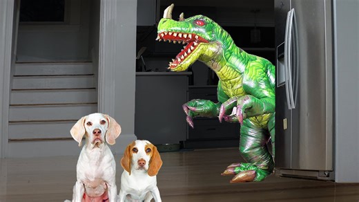 Clever Dogs Battle Giant Dinosaur in Epic Prank Invasion