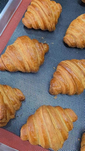 Haz de Oros Panadería on Instagram: "🥐 Receta de croissant En Haz de Oros, te enseñamos a preparar croissants de una manera práctica, rápida y sencilla, para que no falles en el intento. 👨🏻‍🍳 Receta elaborada por @carlosmontoya0227 🧈 Ingredientes Masa • Harina de trigo Industrial Haz de Oros: 600 g • Azúcar refinada: 90 g • Sal: 12 g • Mantequilla: 70 g • Huevo: 1 und • Leche en polvo: 20 g • Agua: 240 cc • Levadura fresca: 24 g • 👉 Si usas levadura seca: 8 g Empaste • Margarina de empast