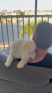 Mom made us a super yummy breakfast and while she is cleaning up the kitchen dad and I had balcony time ♥️♥️♥️ | A day in the life of Minnie's Little Sister Haley