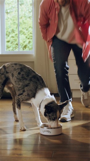 GREENIES™ SMART ESSENTIALS dog food available at PetSmart. Science-backed, delicious nutrition. | PetSmart | Facebook