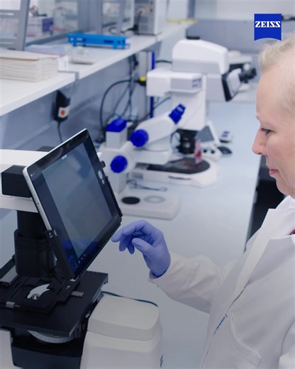 Try ZEISS Labscope AI Counting Chamber today – integrated with your lab setup, documented and free for 30 days. | ZEISS Microscopy