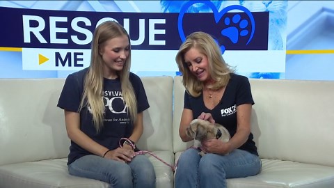 Rescue Me | Meet Layna