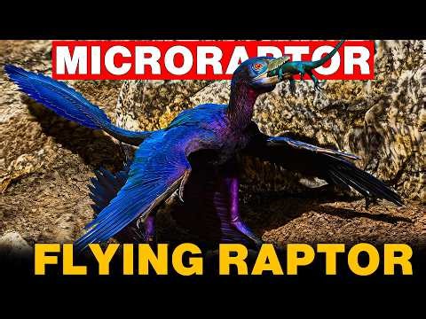 The Dinosaur That Could Fly Backwards: Microraptor