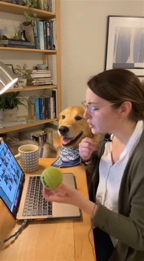 122K views · 3.5K reactions | When your "work-from-home" life is less...