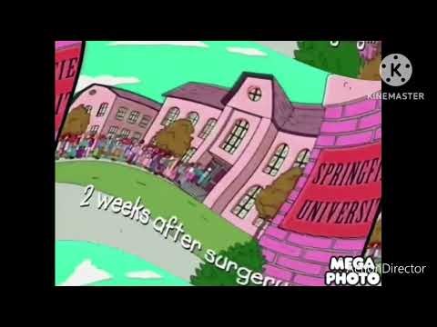 intel inside "Pentium" II Processor Homer (The Simpsons Variant Animation) 1998 in Does Respond