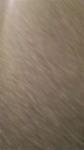 #funny #compilations #fyp #fart #lol