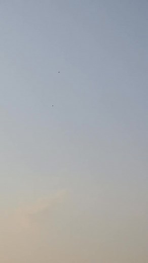 2.2K views · 40 reactions | Adilsheikh007TEAMTIGER11LAHORE on Reels | Facebook