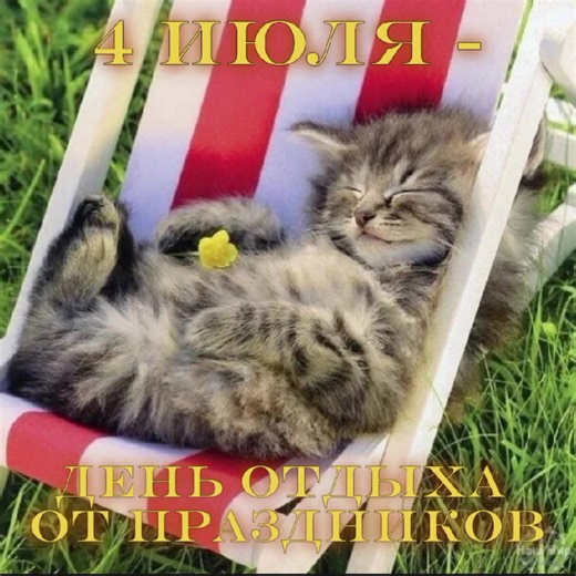 Cute Cats Celebrating July 4th: Happy Moments