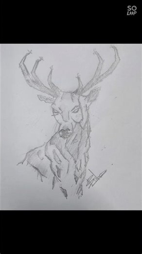 Deer Sckech #music #viral #scketch