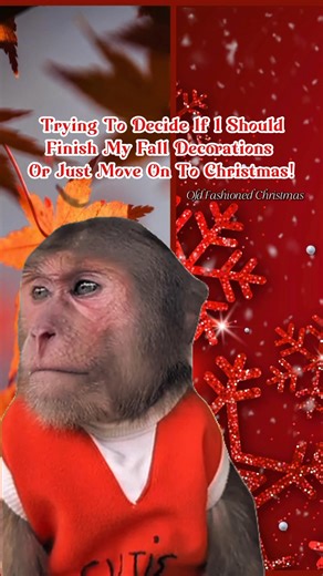 🤣🤣I’m at a crossroads! 😂😂😂I have my 2 Fall trees and my Halloween tree finished inside, and I was gonna do my outdoor deck. I told my friend I just need to move on to Christmas! 😂😂 Tough decisions being made here! 😂😂😂🧡🍁❤️🎄 | Old Fashioned Christmas