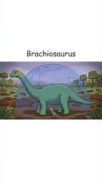 Brachiosaurus The Tallest Dinosaur Ever!🚌🦕